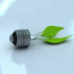 Les engagements RSE d’Elen Distribution : Une démarche responsable et durable.