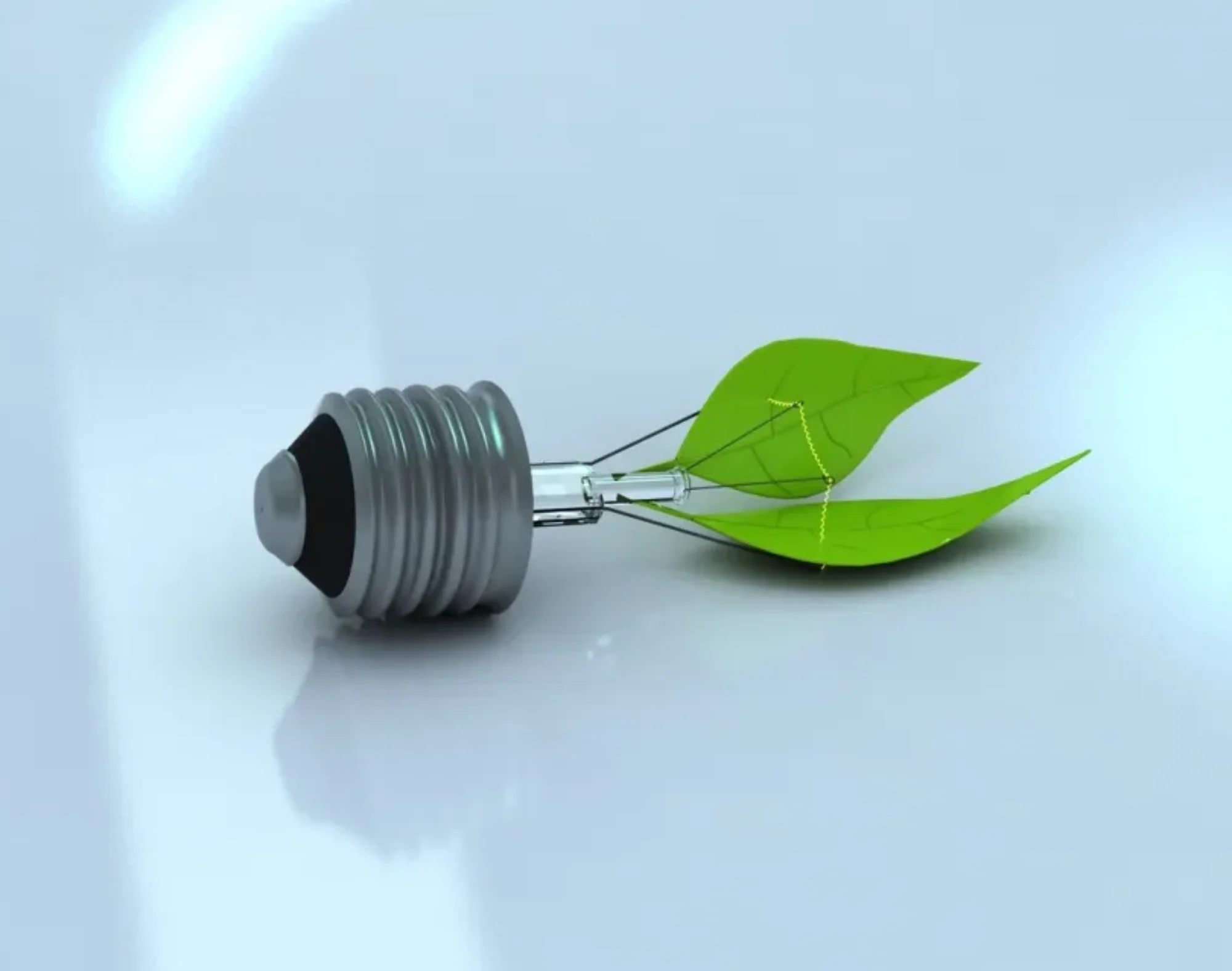 Les engagements RSE d’Elen Distribution : Une démarche responsable et durable.
